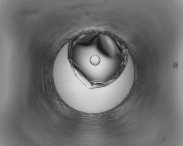 X0000090991492200708161906