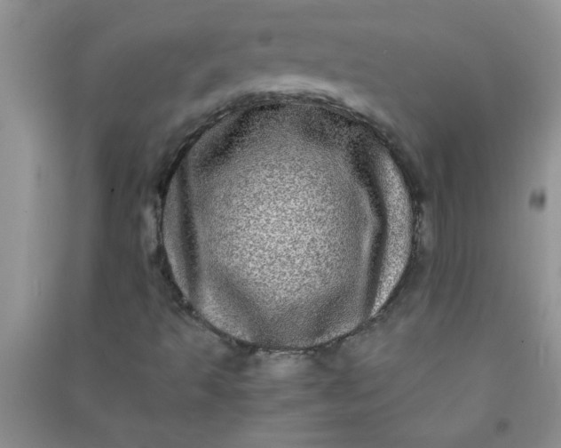 X0000090991493200708161906
