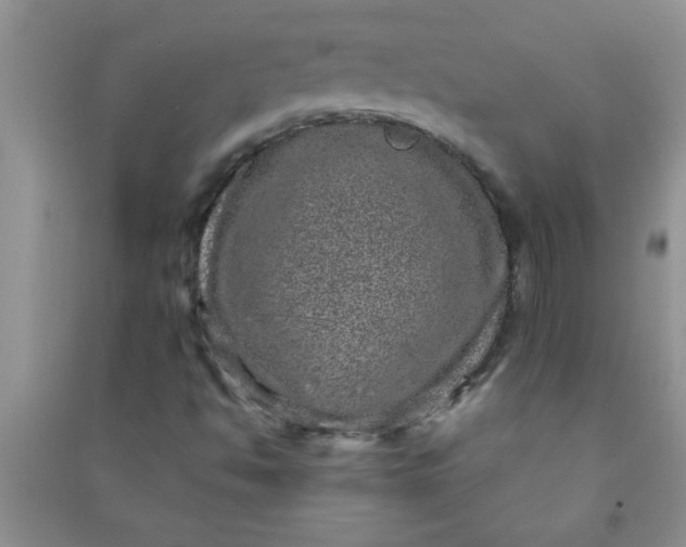 X0000090991494200708161906