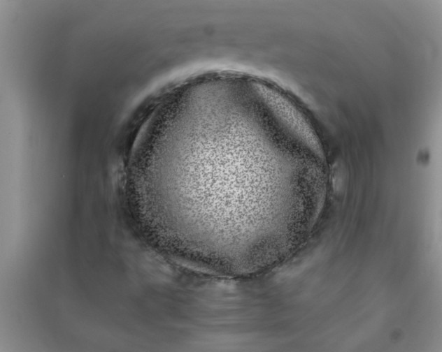 X0000090991495200708161906