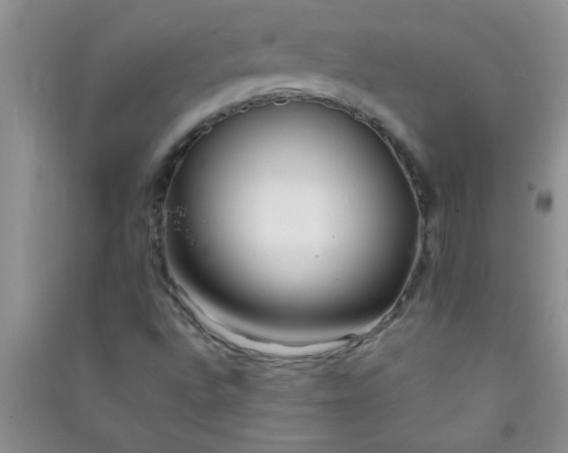 X0000090991496200708161906