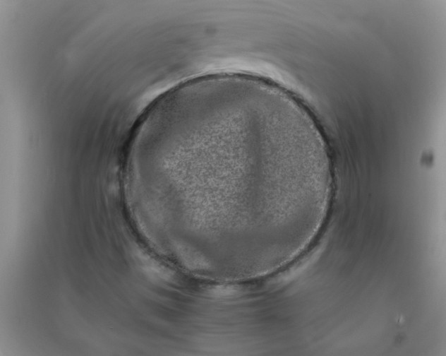 X0000090991497200708161906