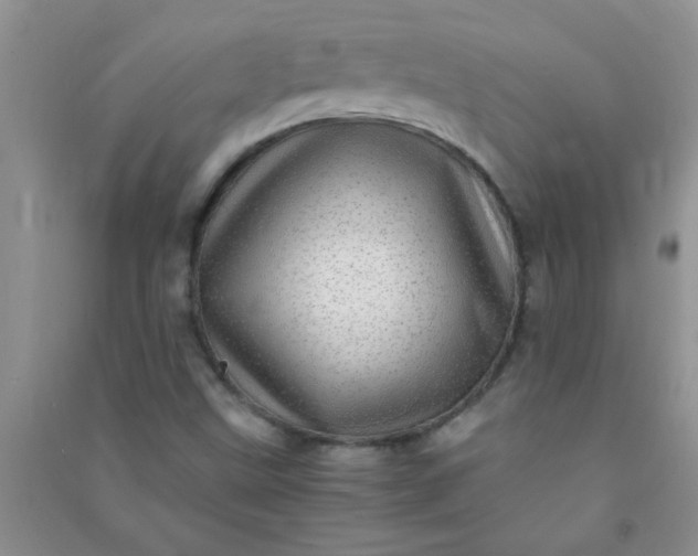 X0000090991499200708161906