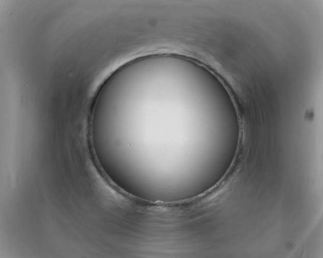 X0000090991500200708161906