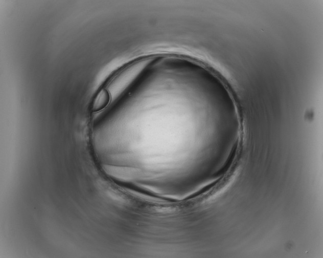X0000090991501200708161906