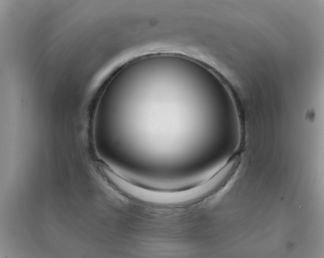 X0000090991502200708161906