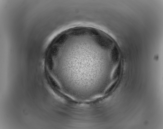 X0000090991503200708161906