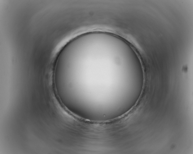 X0000090991504200708161906