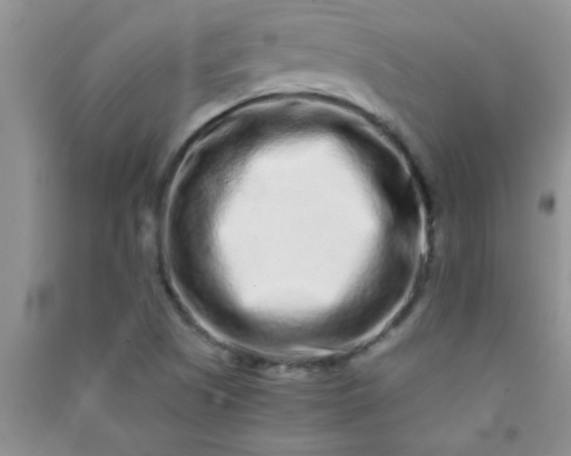 X0000090991505200708161906
