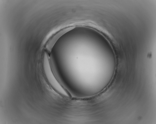 X0000090991506200708161906