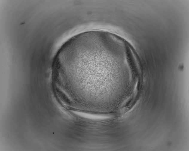 X0000090991507200708161906