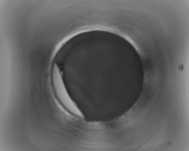 X0000090991508200708161906
