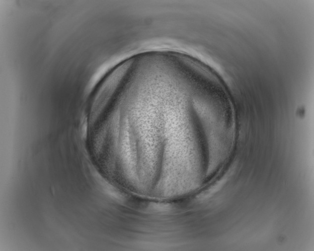 X0000090991509200708161906