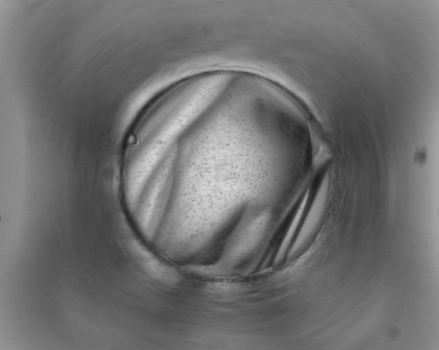 X0000090991511200708161906