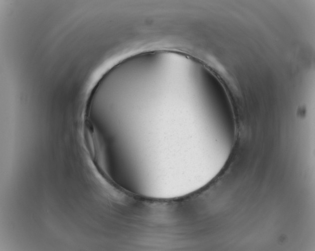 X0000090991512200708161906