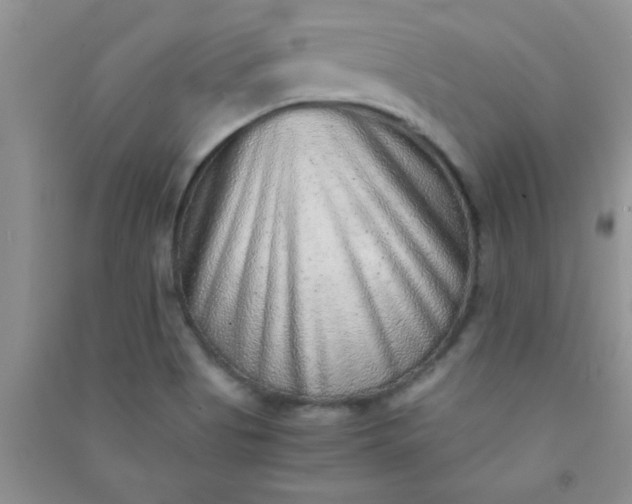 X0000090991513200708161906
