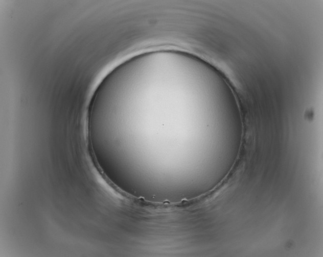 X0000090991516200708161906
