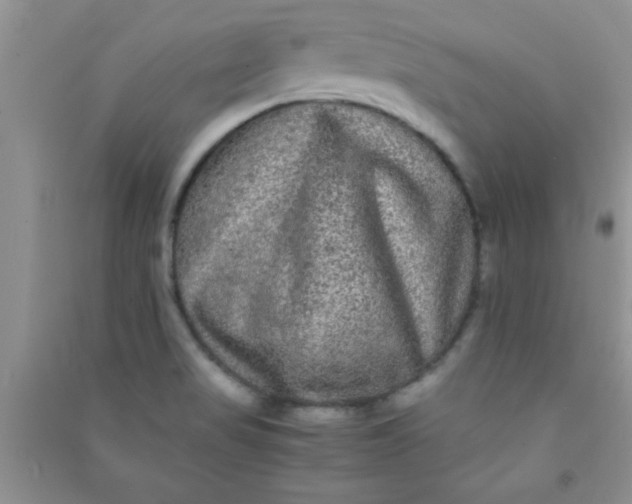 X0000090991517200708161906