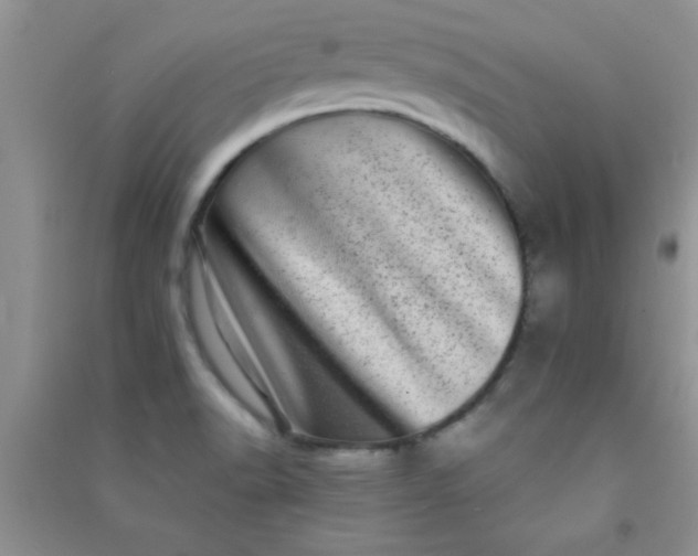 X0000090991518200708161906
