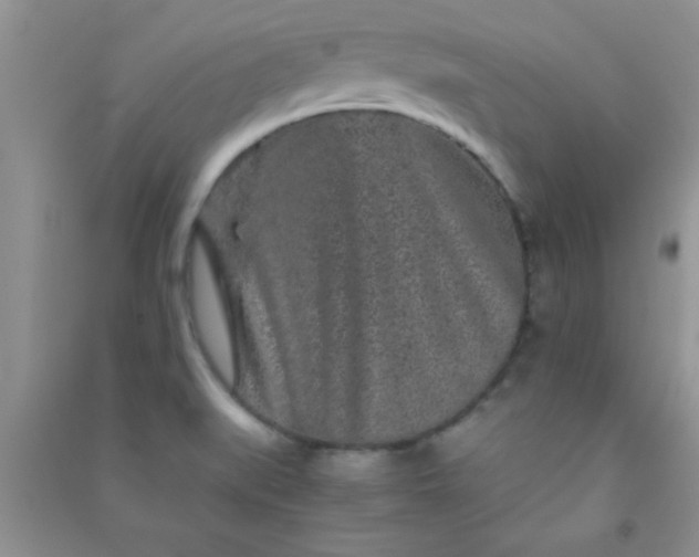 X0000090991519200708161906