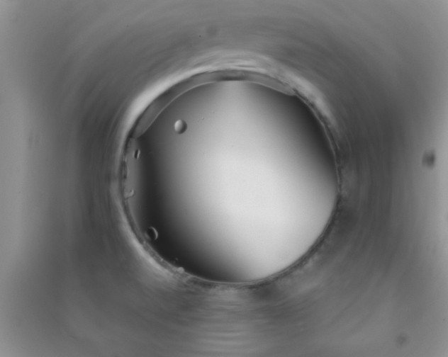 X0000090991520200708161906