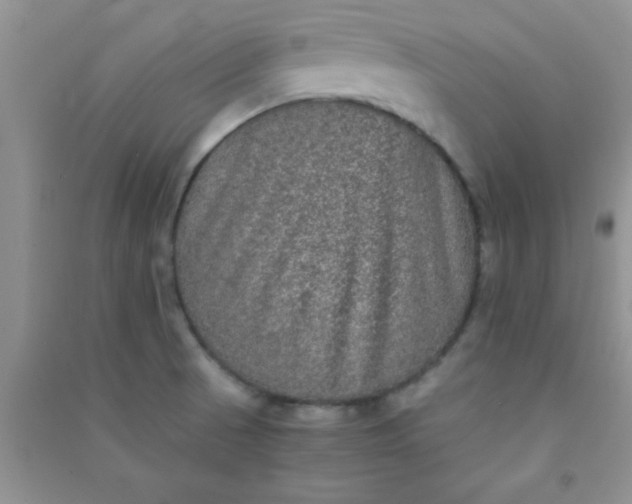 X0000090991521200708161906