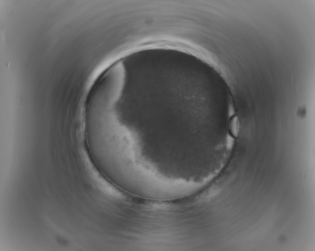 X0000090991522200708161906