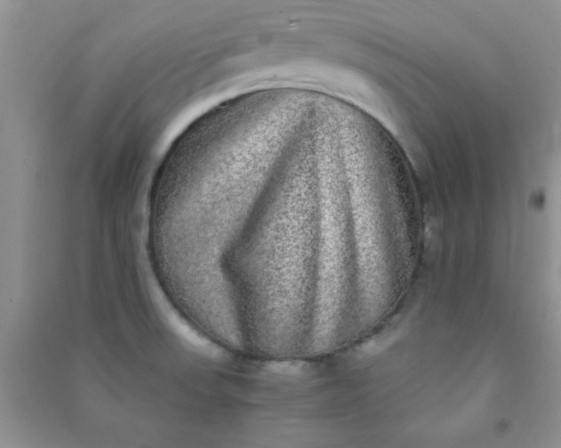 X0000090991523200708161906