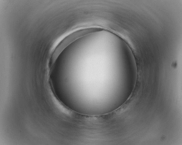 X0000090991524200708161906