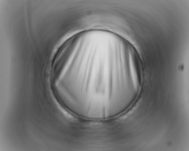 X0000090991525200708161906
