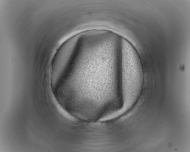 X0000090991526200708161906