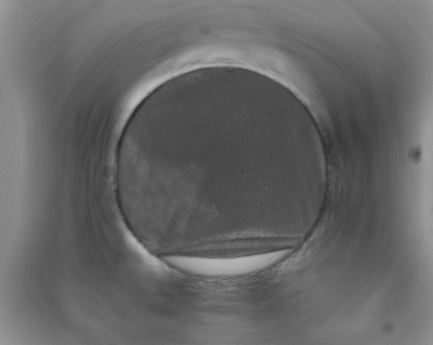 X0000090991527200708161906