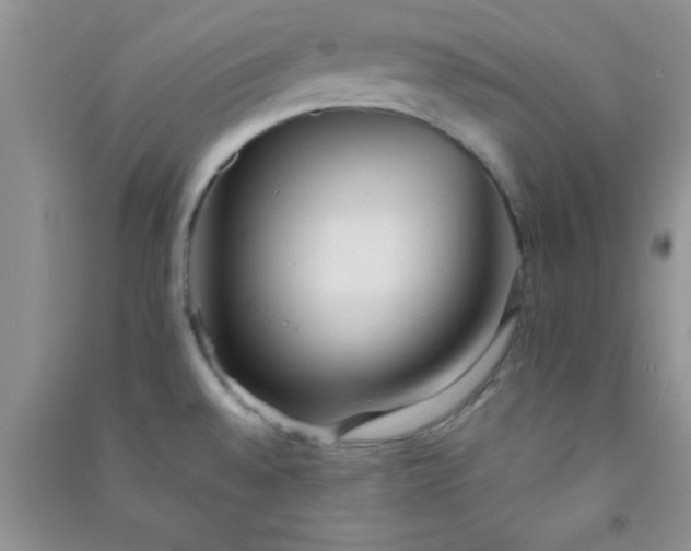 X0000090991528200708161906