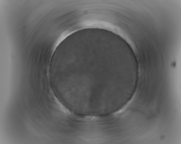 X0000090991529200708161906