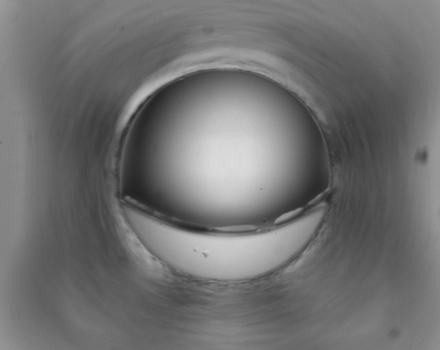 X0000090991530200708161906