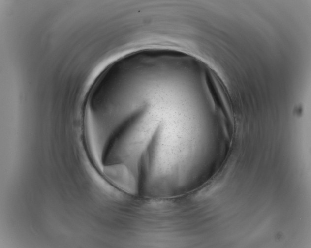 X0000090991531200708161906