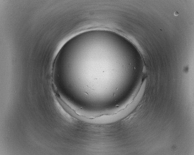 X0000090991532200708161907