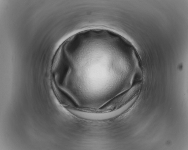 X0000090991534200708161907