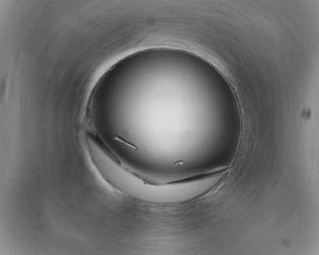 X0000090991536200708161907