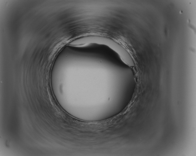 X0000090990001200708241436