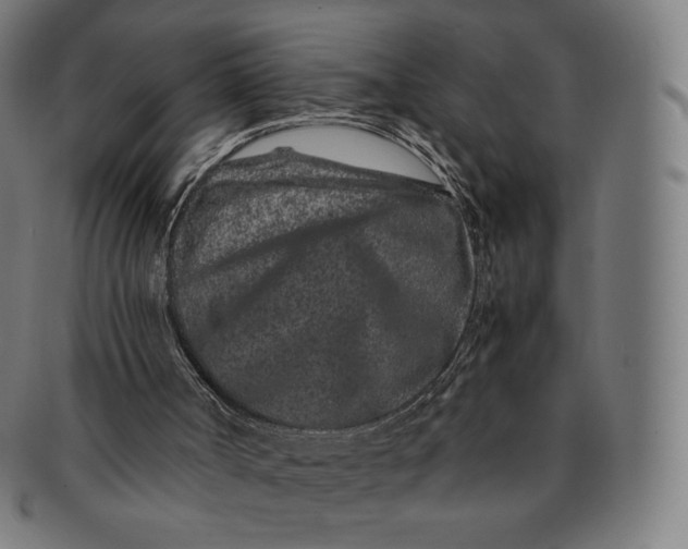 X0000090990002200708241436