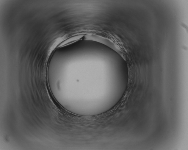 X0000090990003200708241436