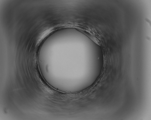 X0000090990005200708241436