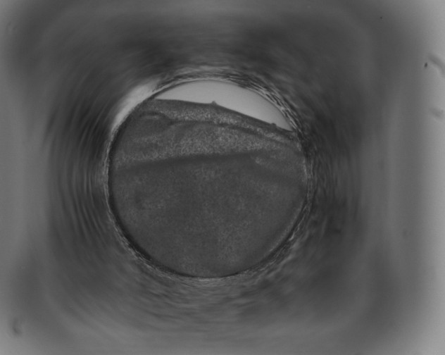 X0000090990006200708241436