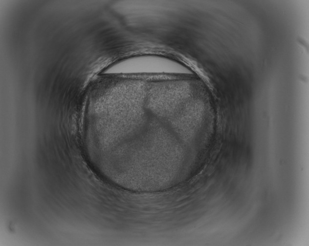 X0000090990010200708241436