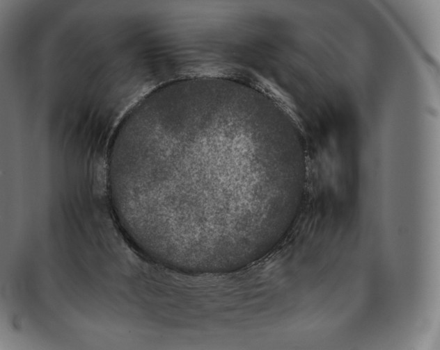 X0000090990012200708241436