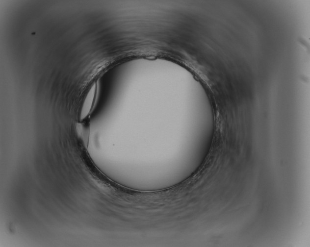 X0000090990013200708241436