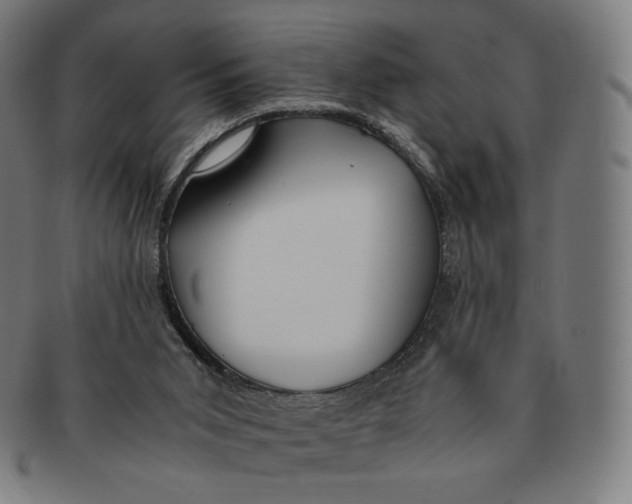 X0000090990015200708241436