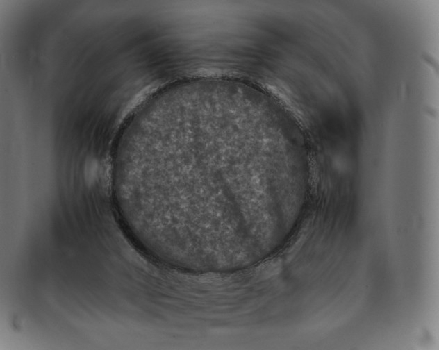 X0000090990016200708241436