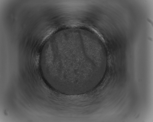 X0000090990018200708241436